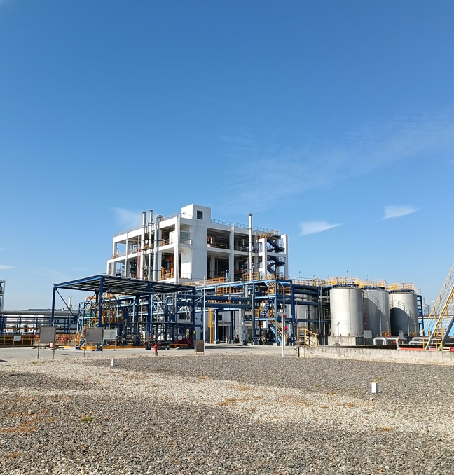 1723018652556.jpg 1723018642481.jpg