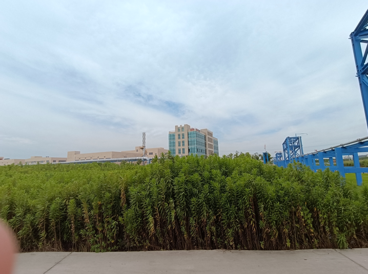 1723717642732.png image.png